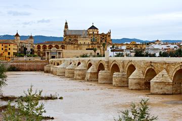 private-guided-city-tour-of-cordoba-in-cordoba-291268