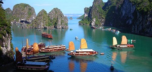 halong15-660