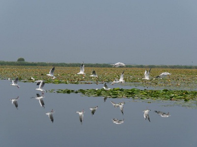 dniestro delta